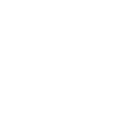 shirt icon